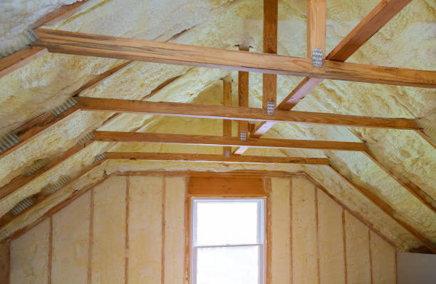 Best Cellulose Insulation in Hebron, MD
