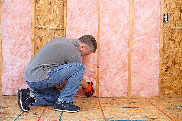 Best Specialized Insulation Services in Hebron, MD
